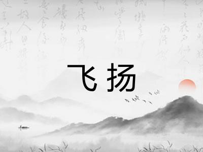飞扬