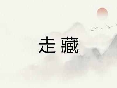 走藏
