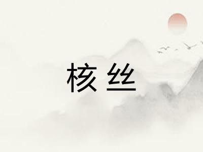 核丝
