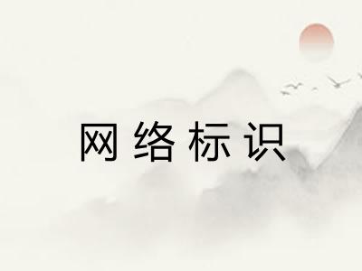 网络标识