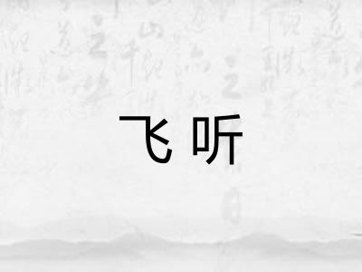 飞听