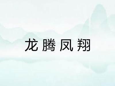 龙腾凤翔