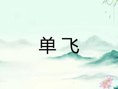 单飞