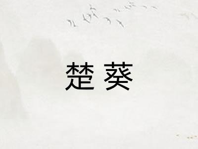 楚葵