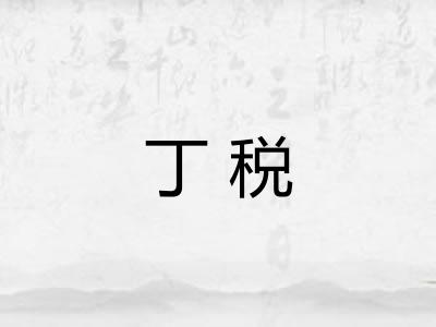 丁税