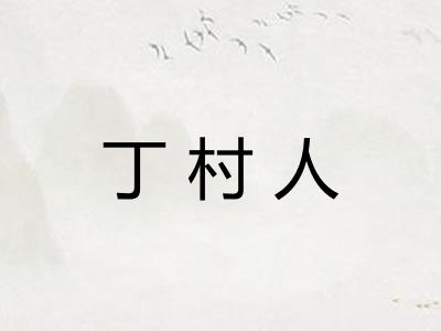 丁村人