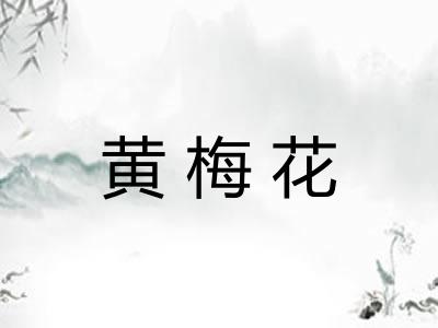 黄梅花