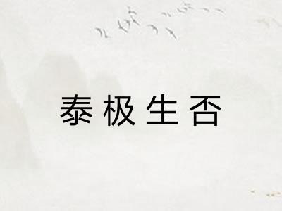泰极生否