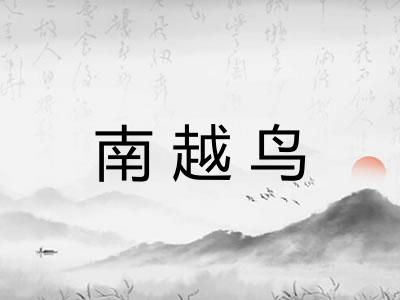 南越鸟