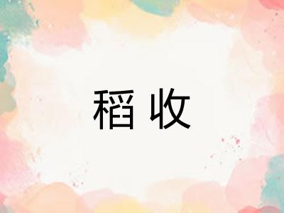 稻收