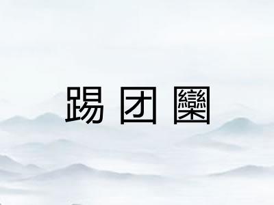 踢团圞