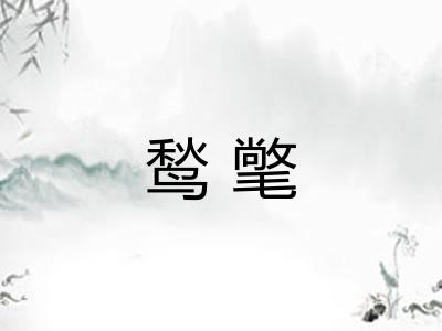 鹙氅