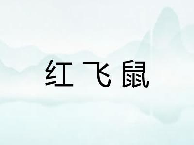 红飞鼠