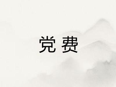 党费