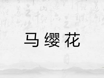 马缨花