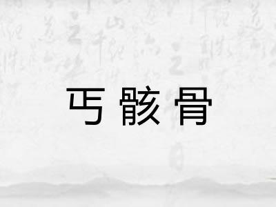 丐骸骨