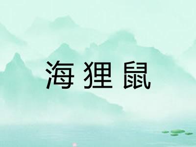 海狸鼠