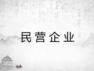 民营企业