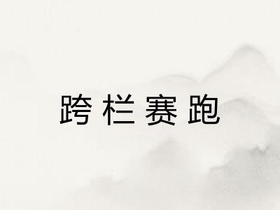 跨栏赛跑