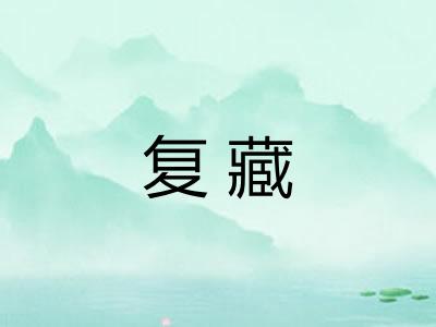 复藏