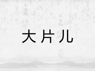 大片儿