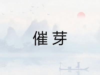 催芽