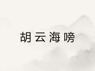 胡云海嗙 胡云海嗙