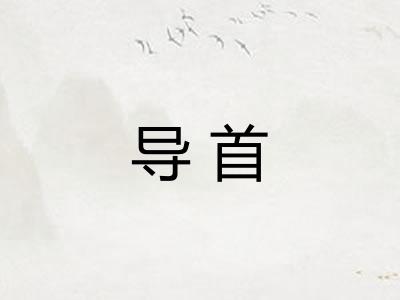 导首