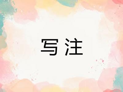 写注
