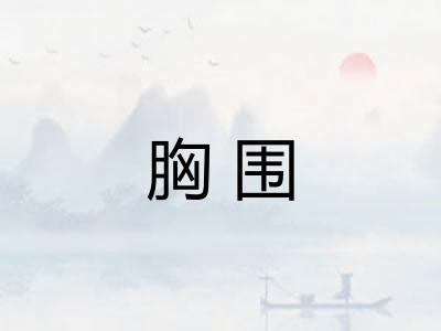 胸围
