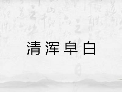 清浑皁白