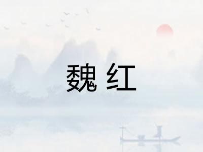 魏红