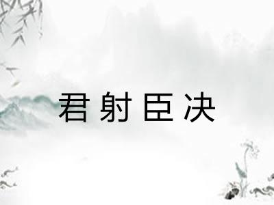 君射臣决