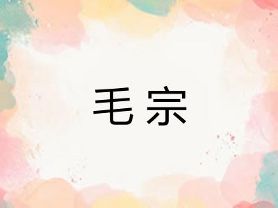 毛宗