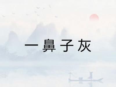 一鼻子灰