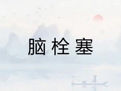 脑栓塞