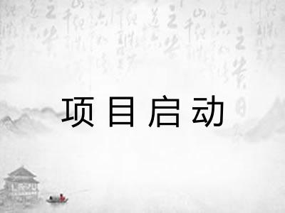 项目启动 项目启动