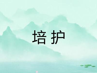 培护