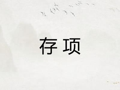 存项 存项