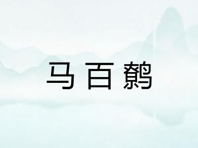 马百鹩