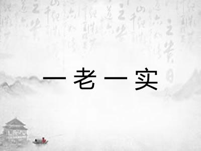 一老一实
