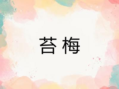 苔梅