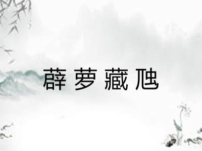 薜萝藏虺