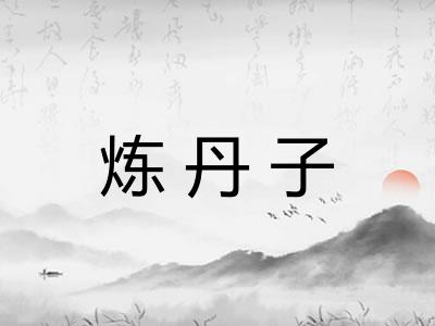 炼丹子