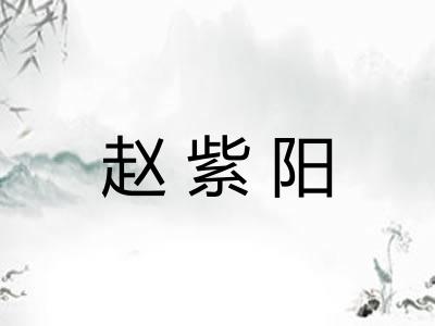 赵紫阳 赵紫阳