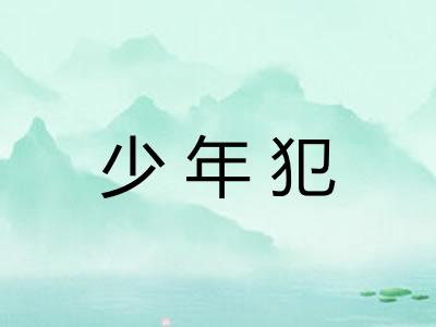 少年犯