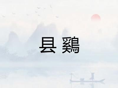 县鷄