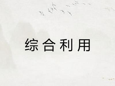 综合利用