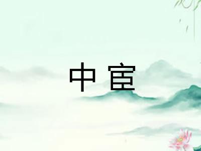 中宦