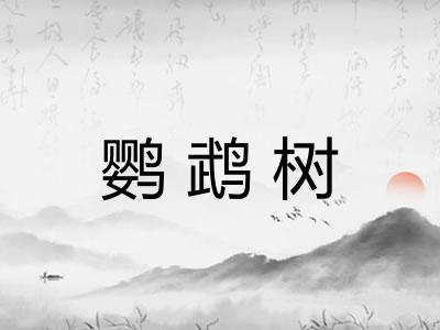 鹦鹉树